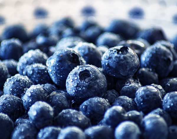 冷凍藍莓，一個被嚴重低估的產品